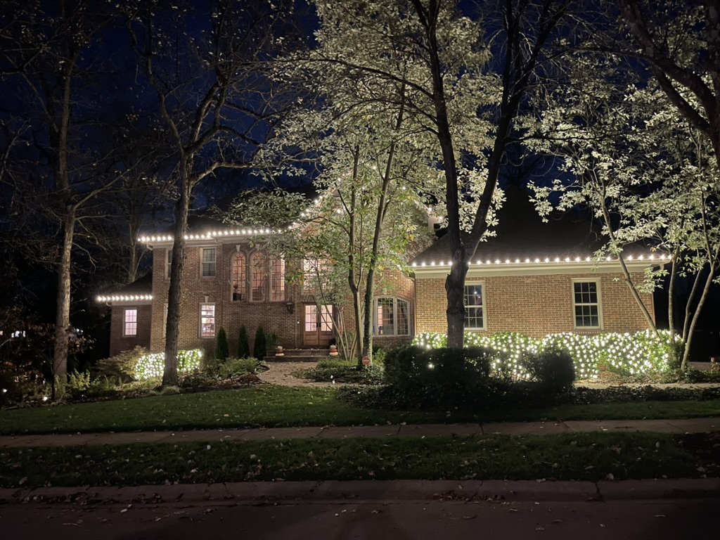 Brick home with roofline lights and net-lit shrubs at night