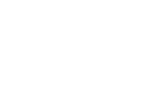 KY Christmas Light Installers
